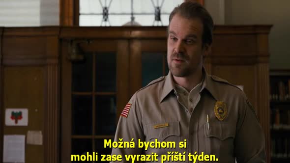 Náhled Stranger Things.S01E03.CZ titulky.WEBRip.avi (6)