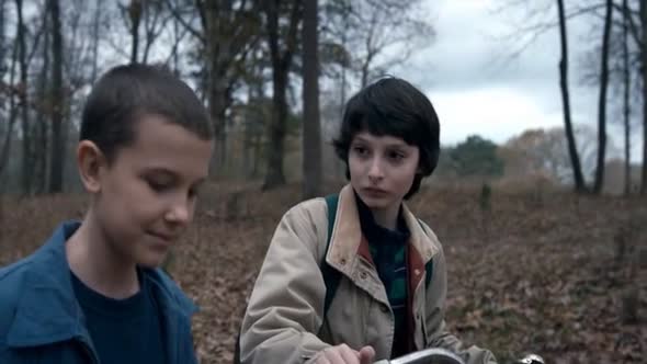 Náhled Stranger Things.S01E03.CZ titulky.WEBRip.avi (9)