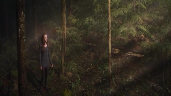Náhled Twilight sága Rozbřesk 2. část (2012).avi (3)