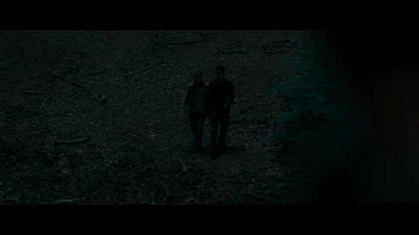 Náhled Harry-Potter-a-dary-smrti-1-(sk-dabing).avi (6)