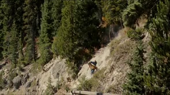 Náhled Utek-do-divociny-DVDRip-CZ-(DD-5,1).avi (3)