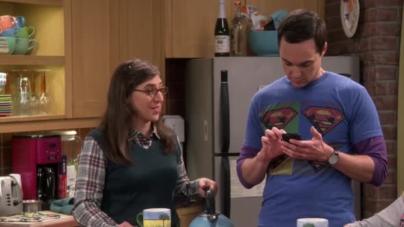 Náhled The.Big.Bang.Theory.S10E08.HDTV.x264-LOL.mkv (4)