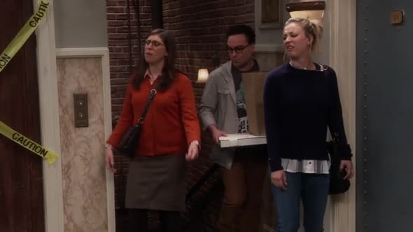Náhled The.Big.Bang.Theory.S10E08.HDTV.x264-LOL.mkv (9)
