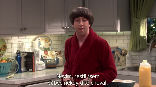 Náhled The Big Bang Theory S09E16 - CZ-Titulky 720p.avi (1)