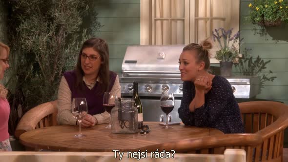 Náhled The Big Bang Theory S09E16 - CZ-Titulky 720p.avi (3)