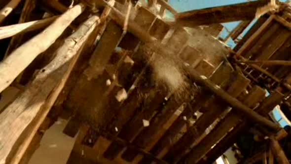Náhled Asterix-a-Obelix---Mise-Kleopatra-DVDRip-CZ-(DD-5,1).avi (9)