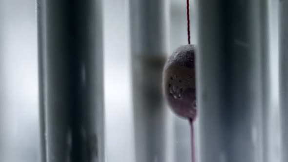 Náhled Extinction Zánik horror 2015 (cz dabing).avi (1)