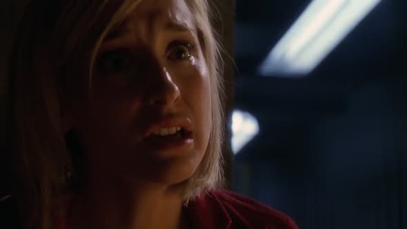 Náhled Smallville 05x03 DVDRIP CZ.avi (5)