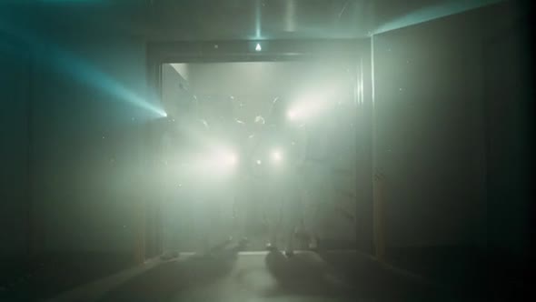 Náhled Stranger.Things.S01E01.mkv (5)