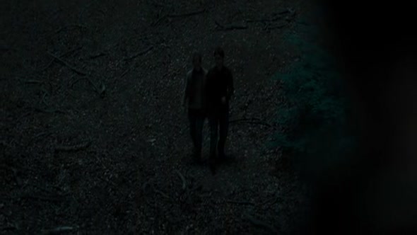 Náhled 7.Harry-Potter-a-Relikvie-smrti-1-cast.avi (6)