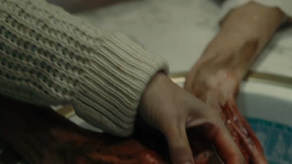 Náhled The.Taking.of.Deborah.Logan.2014.BDRip.XviD.CZ.avi (3)
