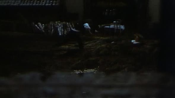 Náhled Petrolejové lampy (1971) Drama.avi (7)