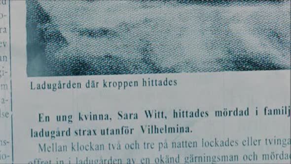 Náhled Muži, kteří nenávidí ženy 2012.avi (6)