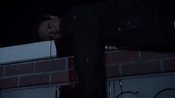Náhled Vlčí mládě 03x09 Dívka, která věděla příliš mnoho.avi (1)