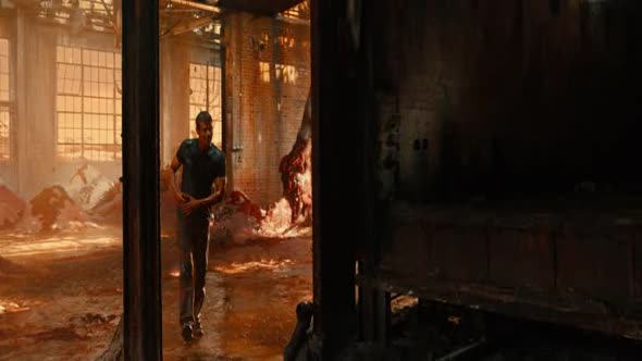 Náhled Allegiant.2016.BRRip.XviD.AC3.CZ.avi (8)