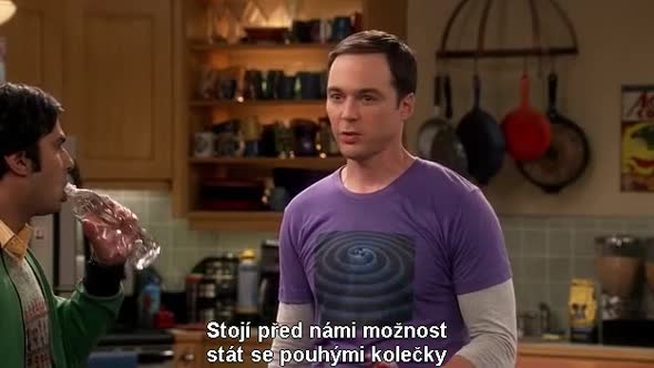 Náhled The Big Bang Theory S10E02 cz titulky.avi (1)