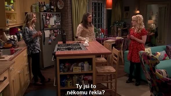 Náhled The Big Bang Theory S10E02 cz titulky.avi (2)