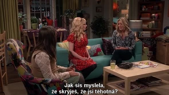 Náhled The Big Bang Theory S10E02 cz titulky.avi (3)