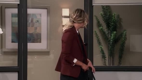Náhled The Big Bang Theory S10E02 cz titulky.avi (6)
