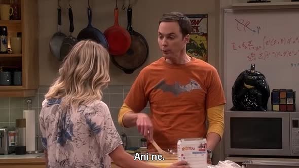 Náhled The Big Bang Theory S10E02 cz titulky.avi (9)