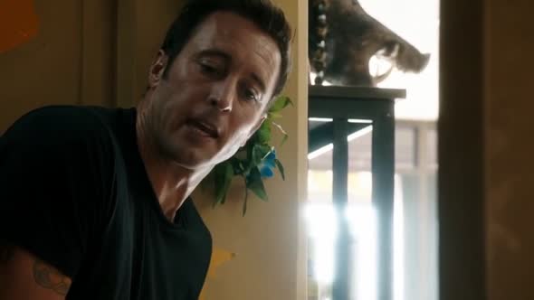 Náhled Hawaii 5-0 S05E19 - WEB-DL CZdabing.mkv (3)