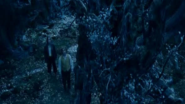 Náhled Pan prstenu 2 - Dve veze 2002 rozsirena verze BRRIP AC3 CZ.avi (9)