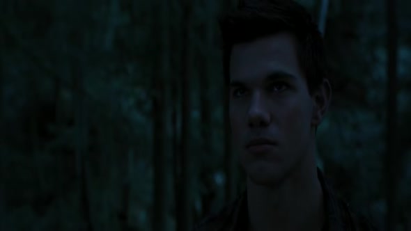 Náhled Twilight saga-Rozbřesk 1.část.avi (9)