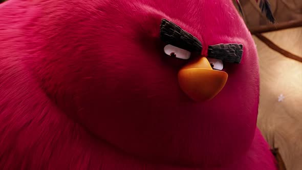 Náhled Angry Birds ve Filmu 2016 KBZ.avi (2)