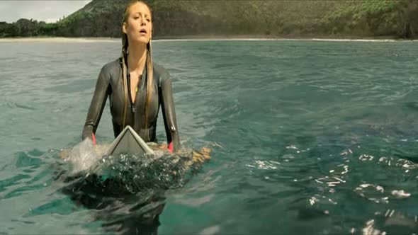 Náhled The.Shallows.2016.BDRip.x264.CZ-FTU.mkv (3)