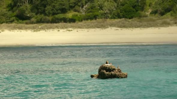 Náhled The.Shallows.2016.BDRip.x264.CZ-FTU.mkv (7)