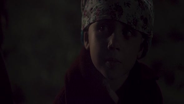 Náhled The.Broken.Circle.Breakdown.2012.BDRip.XviD.CZ.avi (4)