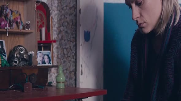 Náhled The.Broken.Circle.Breakdown.2012.BDRip.XviD.CZ.avi (7)