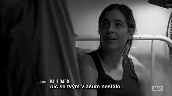 Náhled The Walking Dead S06E01 CZ titulky by Adamek.avi (1)