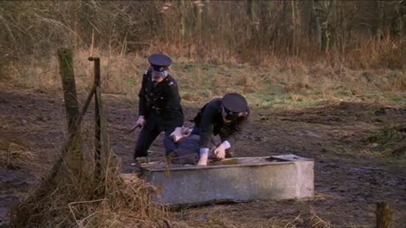 Náhled Mechanicky Pomeranc, CZ titulky (1971).avi (9)