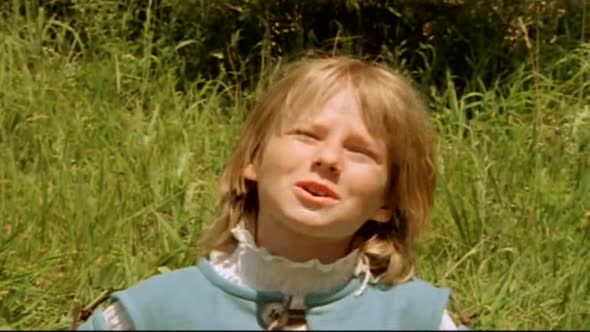 Náhled Kral sokolu CZ dab 2000 DVDRip.XviD.avi (5)