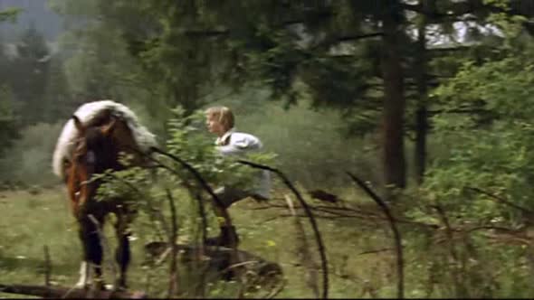 Náhled Kral sokolu CZ dab 2000 DVDRip.XviD.avi (6)