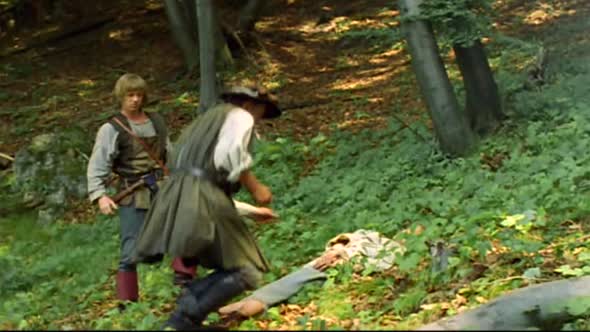 Náhled Kral sokolu CZ dab 2000 DVDRip.XviD.avi (9)