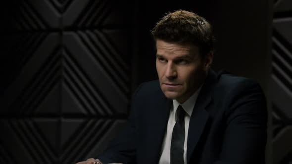 Náhled Sberatele kosti - Bones S05E04 Nebezpecne predmesti (CZ).avi (8)