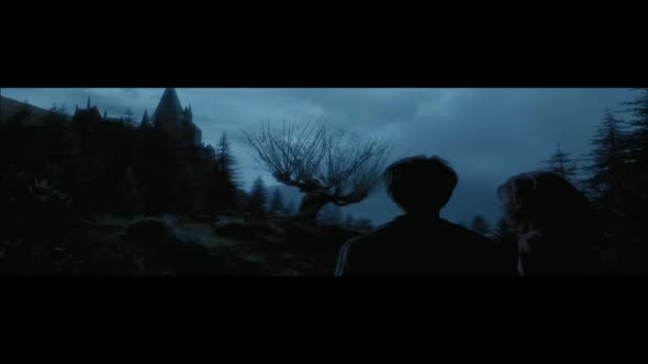 Náhled Harry Potter a väzeň z Azkabanu (2004) SK Dabing.avi (10)