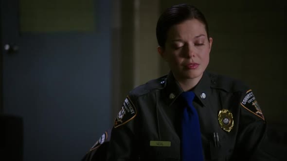 Náhled Jak prosté S04E20 - Elementary - WEBrip CZdabing.avi (10)