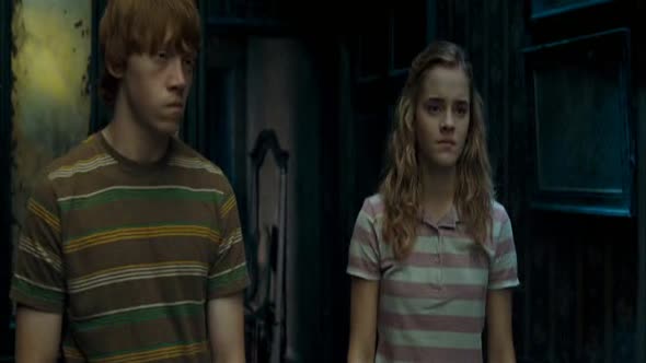 Náhled Harry Potter a Fénixův řád (2007).avi (1)