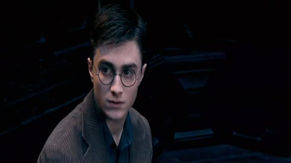 Náhled Harry Potter a Fénixův řád (2007).avi (2)