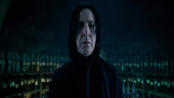 Náhled Harry Potter a Fénixův řád (2007).avi (4)