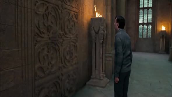 Náhled Harry Potter a Fénixův řád (2007).avi (5)