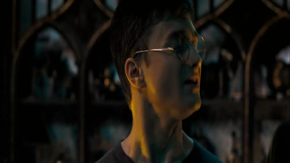 Náhled Harry Potter a Fénixův řád (2007).avi (6)
