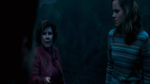 Náhled Harry Potter a Fénixův řád (2007).avi (9)