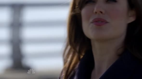Náhled The.Blacklist.S01E20.HDTV.x264-LOL.mp4 (5)