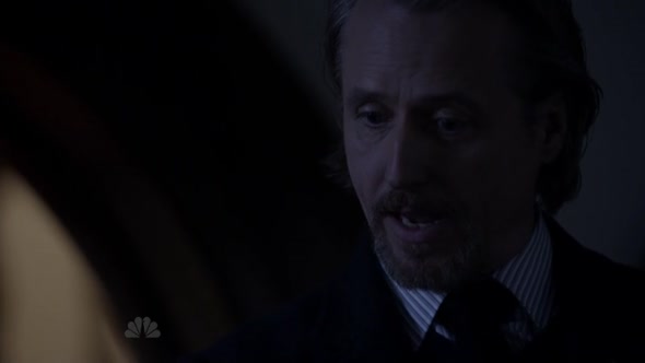 Náhled The.Blacklist.S01E20.HDTV.x264-LOL.mp4 (9)