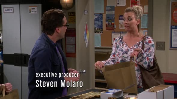 Náhled the.big.bang.theory.s09e19.hdtv-Nicole.mp4 (1)