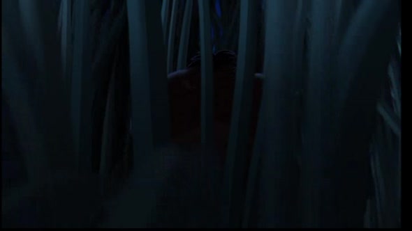 Náhled The-Lion-King-3-2004-DVDrip-CZ.avi (3)